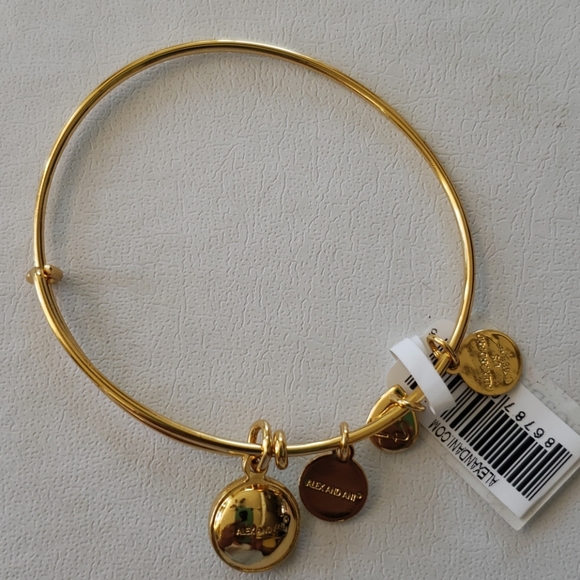 ALEX AND ANI bangle - Picture 2 of 6